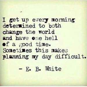 Meet your Posher, Donnalynn